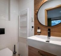 Predaj! Rekreačný apartmán pod Tatrami – Dovalovo - Kúpeľňa v 1-izbovom byte s umývadlom, zrkadlom a radiátorom.