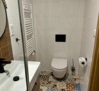 Predaj! Rekreačný apartmán pod Tatrami – Dovalovo - Kúpeľňa s mozaikovou dlažbou v 1-izbovom byte.