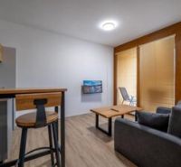 Predaj! Rekreačný apartmán pod Tatrami – Dovalovo - Obývací priestor 1-izbového bytu s kuchynským kútom a podlahou s dreveným dekorom.