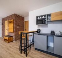 Predaj! Rekreačný apartmán pod Tatrami – Dovalovo - Interiér 1-izbového bytu s podlahou s dreveným dekorom a tehlovou stenou.