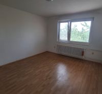 4. izb. RD Čakajovce pri Nitre  - Izba s bielymi stenami, podlaha s dreveným dekorom, veľké okno a radiátor.