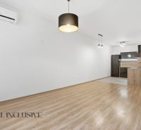 ELEGANTNÝ 2 IZBOVÝ BYT  S PARKINGOM | POLYGON | NITRA - Priestranná obývačka s podlahou s dreveným dekorom a otvorenou kuchyňou v 2-izbovom byte.