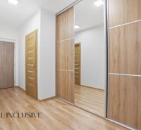 ELEGANTNÝ 2 IZBOVÝ BYT  S PARKINGOM | POLYGON | NITRA - Chodba v 2-izbovom byte s podlahou s dreveným dekorom a vstavanou skriňou.