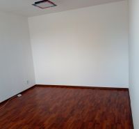 Na prenájom nezariadený 1 izbový byt s balkónom v Nových Zámkoch - Biela stena a podlaha s dreveným dekorom v 1-izbovom byte, základ pre interiér.