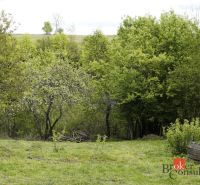 Na predaj pozemok 1898 m² - Horná Lehota, Nízke Tatry - Záhrady v Banskej Bystrici s kvetmi a stromami obklopené zelenými porastmi.
