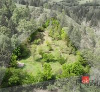 Na predaj pozemok 1898 m² - Horná Lehota, Nízke Tatry - Zalesnené záhrady v Banskej Bystrici obklopené zelenými kopcami a stromami.