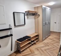 Prenájom 2 izb. bytu Račianske mýto, Bratislava - Vstupná chodba v 2-izbovom byte s podlahou s dreveným dekorom a úložným priestorom.