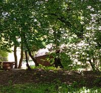 TURANY- rekreačná chata na pozemku 700m2 - Na obrázku sú stromy a drevená chata skrytá medzi zeleňou na ulici Černík.