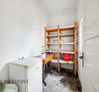 Na predaj 5-izbový rodinný dom, Čierna Voda - Komora v rodinnom dome s regálom, chladničkou a rastlinou na stole.