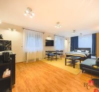 Zariadený 1i apartmán s balkónom na Hradnom kopci - Svetlý 1-izbový byt s podlahou s dreveným dekorom, posteľou, sedačkou a kuchynským kútom.