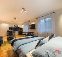 Zariadený 1i apartmán s balkónom na Hradnom kopci - Priestranný 1-izbový byt s podlahou s dreveným dekorom, dvojposteľou a kuchynským kútom.