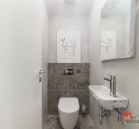 Nový dizajnový 3i byt v novostavbe na Hradnom kopci - Toaleta s minimalistickým umývadlom a dekoráciou v 3-izbovom byte.