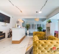Odstúpenie novej luxusnej zdravotníckej prevádzky - ihneď pripravená n - Kancelárie s pohovkami, recepciou, televíziou a dekoráciami, podlaha s dreveným dekorom.