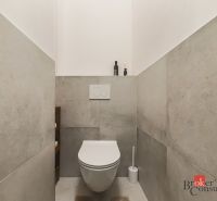 Priestranný petfriendly 2i byt v Starom Meste - WC s keramickým obkladom v 2-izbovom byte, jednoducho zariadené a praktické.