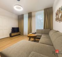 Priestranný petfriendly 2i byt v Starom Meste - Obývačka 2-izbového bytu s pohovkou, televízorom a podlahou s dreveným dekorom.