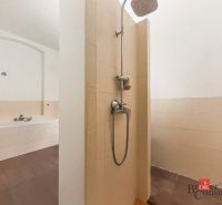 Priestranný petfriendly 2i byt v Starom Meste - Kúpeľňa s vaňou a sprchou v 2-izbovom byte, podlaha s dreveným dekorom.