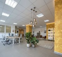 Prenájom 148,25 m² showroom, predajňa | Zlatovce - Obchodné priestory s rastlinami, moderným nábytkom a osvetlením na podlahe s dekorom.