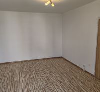 1 izbový byt s balkónom na prenájom  - Prázdna miestnosť s bielymi stenami, podlaha s dreveným dekorom, dvere so sklenenými panelmi.