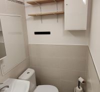 1 izbový byt s balkónom na prenájom  - Kúpeľňa v 1-izbovom byte s umývadlom, toaletu, skrinkami a policami.