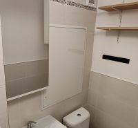 1 izbový byt s balkónom na prenájom  - Kúpeľňa v 1-izbovom byte s umývadlom, zrkadlom a toaletou.