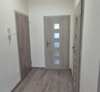 Na prenájom kompletne prerob. NOVÝ 1 izbový byt čiast.zar. Nové Zámky - Chodba s podlahou s dreveným dekorom v 1-izbovom byte, neutrálny farebný dizajn.