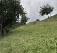 Pozemok na predaj – Horný Vadičov, 1071m2 - Zelené svahy a stromy na poľnohospodárskych a lesných pozemkoch blízko Horného Vadičova.