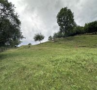 Pozemok na predaj – Horný Vadičov, 1071m2 - Zeleň poľnohospodárskych a lesných pozemkov v Hornom Vadičove s kopcovitým terénom a stromami.