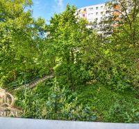  3-izbový byt Karlova Ves – Dlhé diely, 75,79 m², možnosť garáže* - Výhľad z 3-izbového bytu na zelenú alej na ulici Hlaváčikova, Bratislava - Karlova Ves.