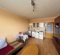 Na predaj Garsônka, 24,5 m2, s perfektnou polohou.  - Obývacia časť garsónky s kuchyňou, pohovkou a skrinkami, na podlahe s dreveným dekorom.