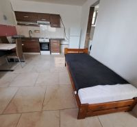 Prenajmeme garsónku, 27 m2, Melek, okr. Nitra - Kompaktná garsónka s kuchyňou a posteľou.