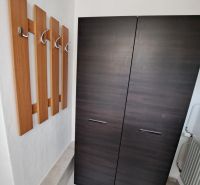 Prenajmeme garsónku, 27 m2, Melek, okr. Nitra - V garsónke sú tmavá skriňa, vešiaky a svetlá dlažba.
