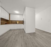 NA PREDAJ: 3-izbový apartmán, MATADORKA, Bratislava - Petržalka - Kuchyňa v 3-izbovom byte s bielymi skrinkami a podlahou s dreveným dekorom.