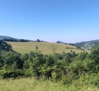 Slnečný pozemok 7 928 m² v Hornom Vadičove s výnimočným potenciálom - Kopcovitá krajina Horného Vadičova, poľnohospodárske a lesné pozemky s rozľahlými lúkami a zeleňou.