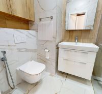 NA PRENÁJOM ZREKONŠTRUOVANÝ 3 IZBOVÝ BYT S GARÁŽOU V CENTRE MESTA - Kúpeľňa s WC a umývadlom v 3-izbovom byte, obklad s dreveným dekorom.