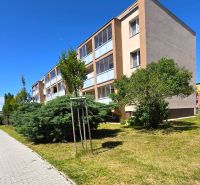 NA PRENÁJOM 4 izbový byt s loggiou, Veľký Šariš - Bytový dom na ulici A. Sládkoviča, Veľký Šariš, s upravenou zeleňou.
