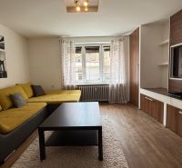 1 izbový 30m2 slnečný byt Zvolen centrum na PRENÁJOM ul. Študentská - Obývacia izba s rohovou sedačkou, televízorom a podlahou s dreveným dekorom, 1-izbový byt.