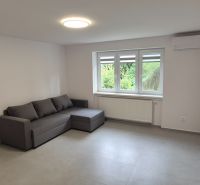 Na prenájom kompletne prerob. NOVÝ 2 izbový byt čiast.zar. Nové Zámky - Obývacia izba v 2-izbovom byte s pohovkou a veľkým oknom, nechýba klimatizácia.