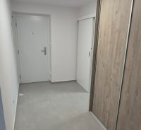 Na prenájom kompletne prerob. NOVÝ 2 izbový byt čiast.zar. Nové Zámky - Chodba s úložným priestorom v 2-izbovom byte, podlaha s dreveným dekorom.