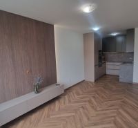 2-izbový moderný byt, s garážovým státím  novostavba, Coboriho ulica - 2-izbový byt s podlahou s dreveným dekorom a vstavanou kuchyňou.