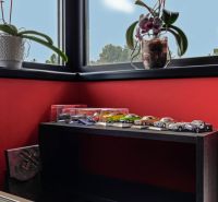 ARCHITEKTÚRA TICHA A MODERNÝCH TECHNOLÓGIÍ - SMART VILLA V OBJATÍ LESA - Modely áut na poličke, červená stena, kvetináče, okno. Rodinný dom.