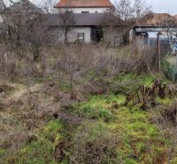 Ponúkame Rodinný dom vhodný na bývanie aj podnikanie - Rodinný dom na Dlhej ulici v Komárne s neudržiavanou záhradou a holými stromami.