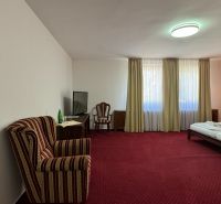 NA PREDAJ hotel s reštauráciou - Izba s červeným kobercom, dvojposteľou, kreslom a televíziou. Hotely a penzióny.