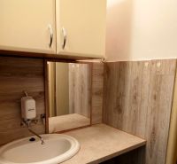 OBCHODNÝ PRIESTOR NA PRENÁJOM, 80 M2 - SABINOVSKÁ UL., PREŠOV - Umývadlo s dreveným dekorom a zrkadlom v obchodných priestoroch.