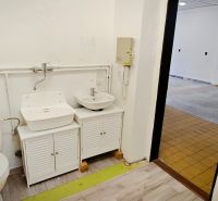 OBCHODNÝ PRIESTOR NA PRENÁJOM, 80 M2 - SABINOVSKÁ UL., PREŠOV - Toaleta a umývadlá v obchodných priestoroch s podlahou s dreveným dekorom.