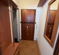 Garsonka Topoľčany / PRENAJOM - Vstupná chodba garsónky s dekorom dreva na podlahe a nábytku.