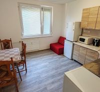 Pekný 1 izbový byt s balkónom na prenájom - Kuchyňa v 1-izbovom byte s kuchynským stolom, chladničkou a spotrebičmi.