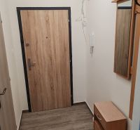 Pekný 1 izbový byt s balkónom na prenájom - Vstupná hala v 1-izbovom byte s podlahou s dreveným dekorom a nábytkom.