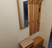 Pekný 1 izbový byt s balkónom na prenájom - Predsieň s vešiakmi, zrkadlom a skrinkou v 1-izbovom byte s podlahou s dreveným dekorom.