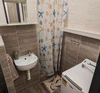 Pekný 1 izbový byt s balkónom na prenájom - Kúpeľňa v 1-izbovom byte s umývadlom, sprchou, práčkou a vzorovaným závesom.