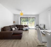 1 255 m² a 9 izieb I Priamo pri prírodnej rezervácii Šúr, len 15 minút - Obývacia izba v rodinnom dome s hnedou sedačkou a podlahou s dreveným dekorom.